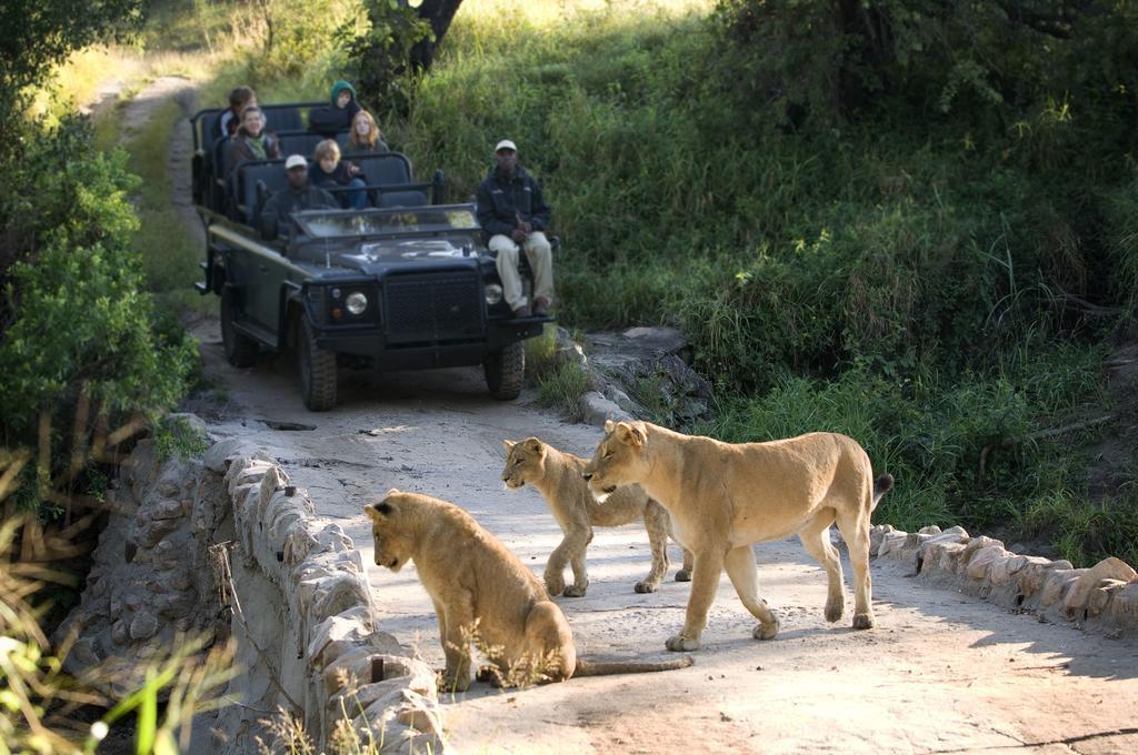 Lion Sands - Tinga Lodge Skukuza Bagian luar foto